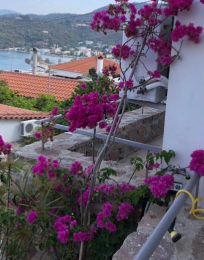 Veranda Blue - Poros Poros Town Exterior foto